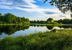 Уровень воды в реке Сож сегодня