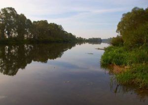 Уровень воды в реке Сож сегодня