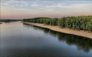 Уровень воды в реке Сож сегодня