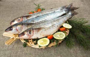 Кефаль что за рыба, как готовить, много ли костей, рецепты