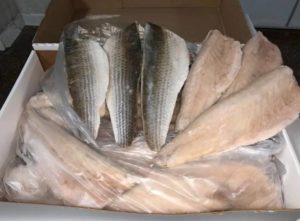 Кефаль что за рыба, как готовить, много ли костей, рецепты