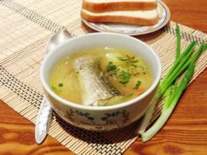 Что за рыба пеленгас черноморский, где водится, рецепты, фото