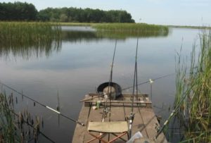 Прогноз клева в Витебске на Двине на 5 дней в районе и области