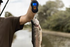 Лучшие весы для рыбалки, рейтинг ТОП 10 электронных