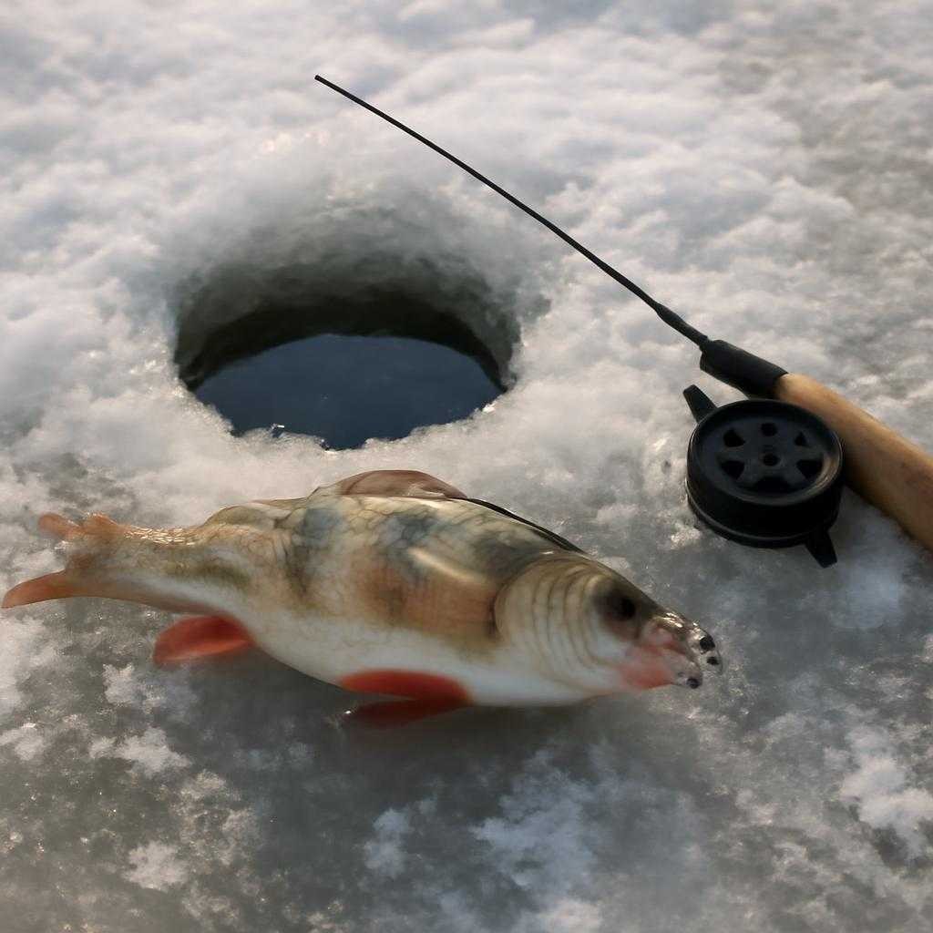 подлёдный_лов