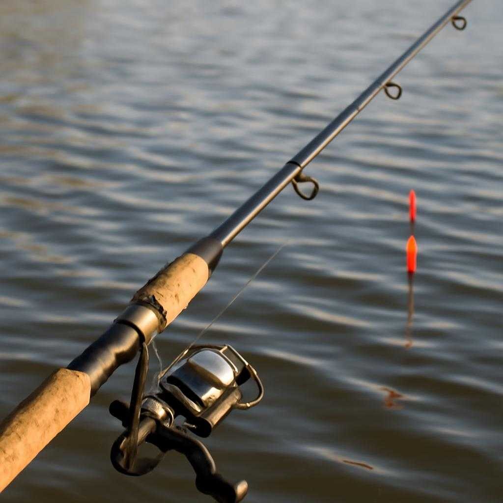 поплавочная удочка