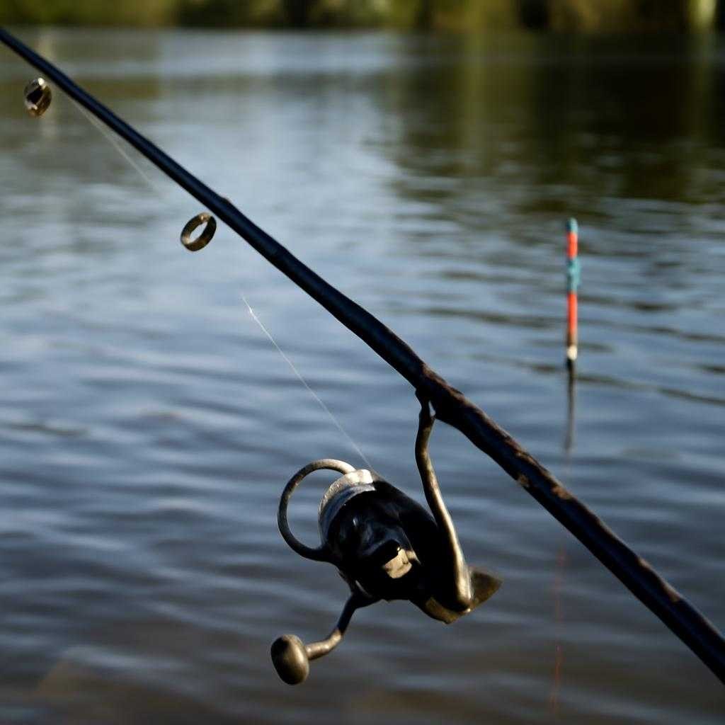 поплавочная удочка