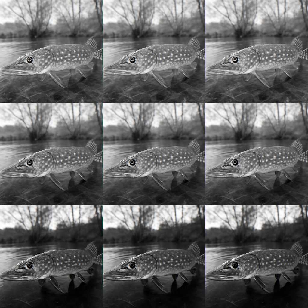 весенняя щука